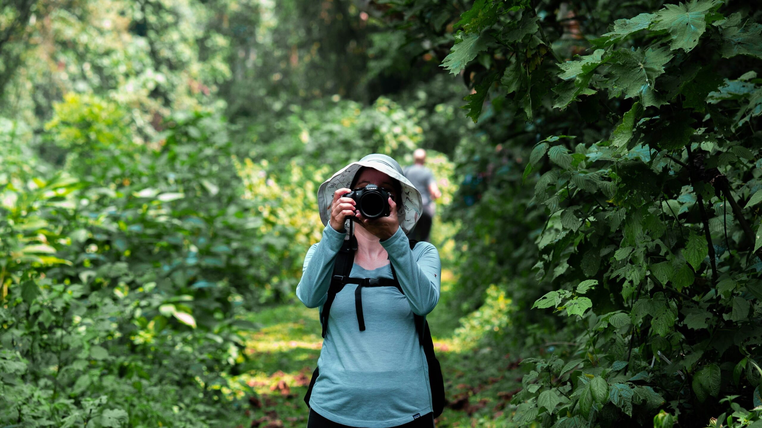 Chimpanzee Tracking Permit Cost in Rwanda