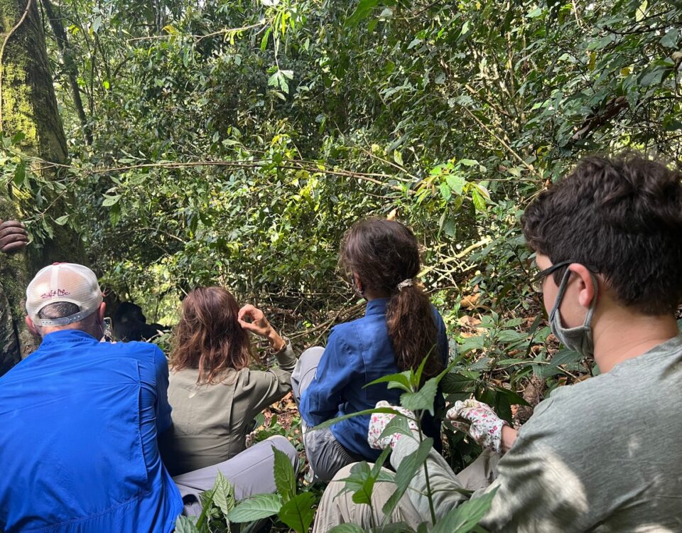 Family Friendly Trips in Uganda
