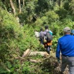 Connecting Nkuringo to Buhoma on Foot