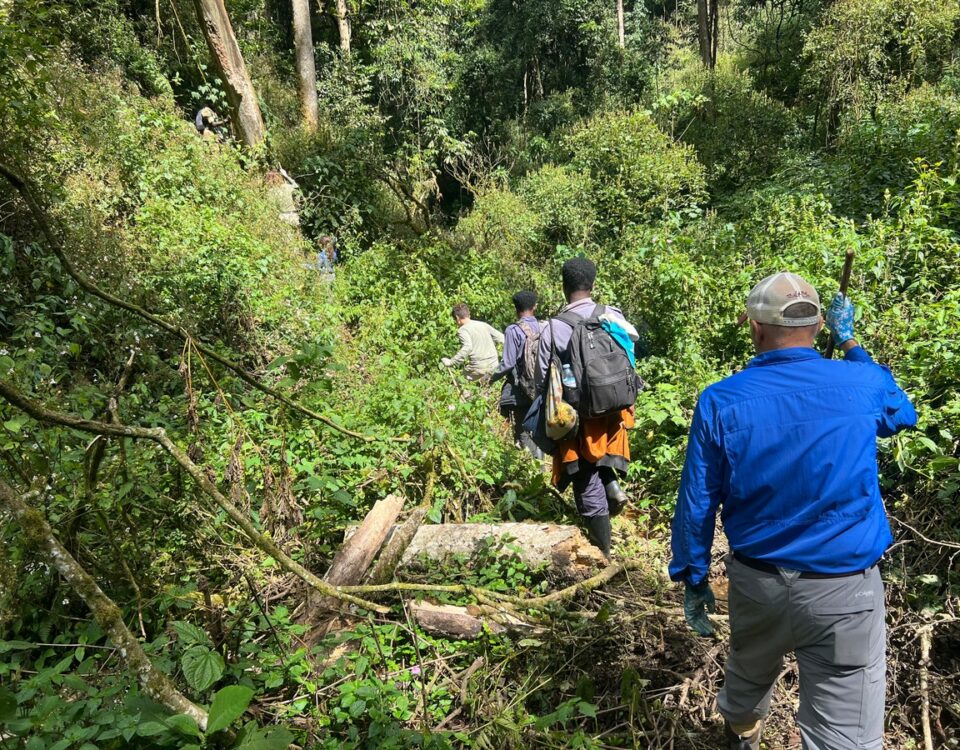 Connecting Nkuringo to Buhoma on Foot