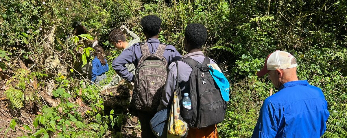 Mistakes tourists make on their first safari