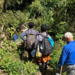 Mistakes tourists make on their first safari