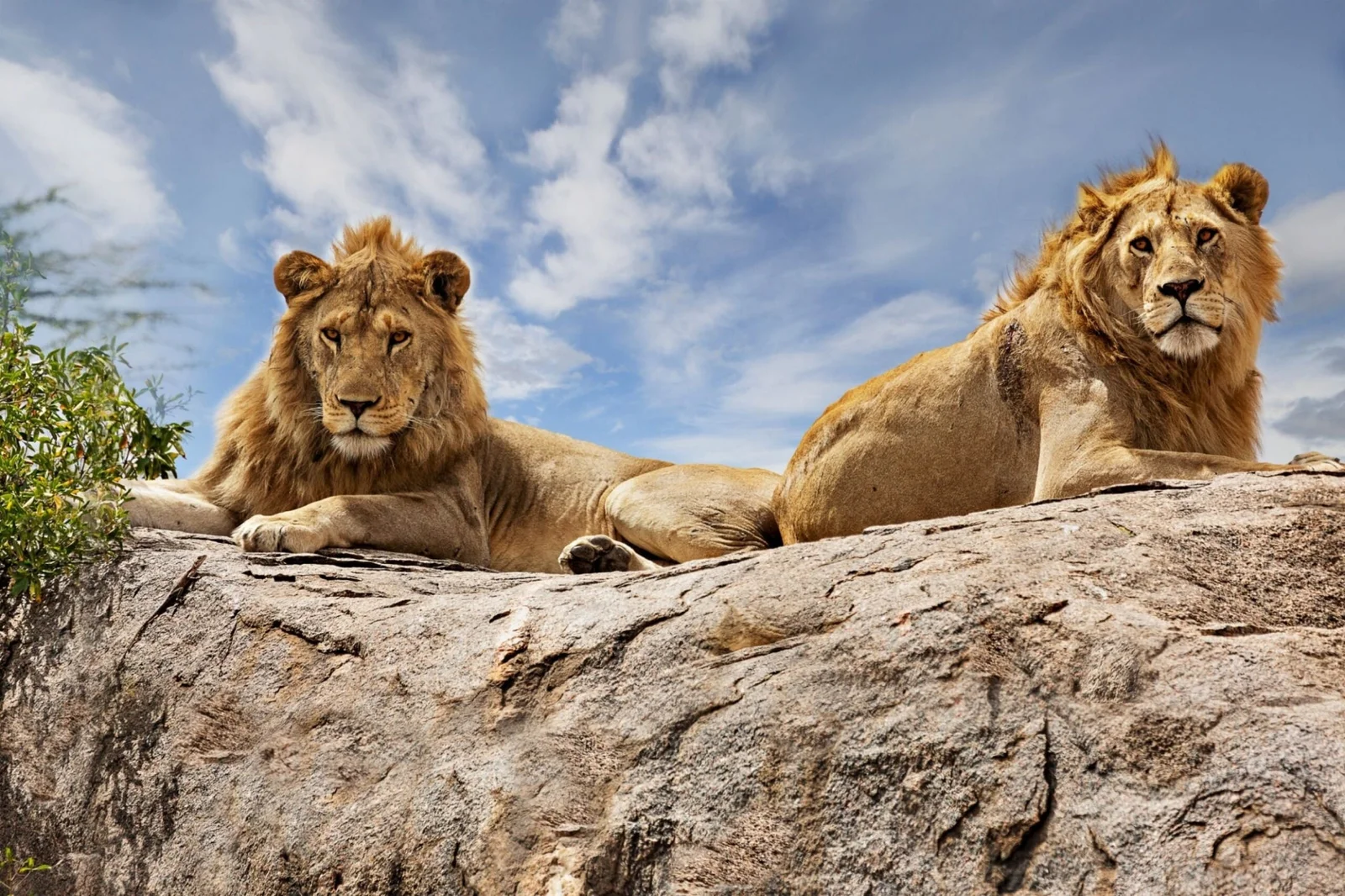 What is Tanzania best known for