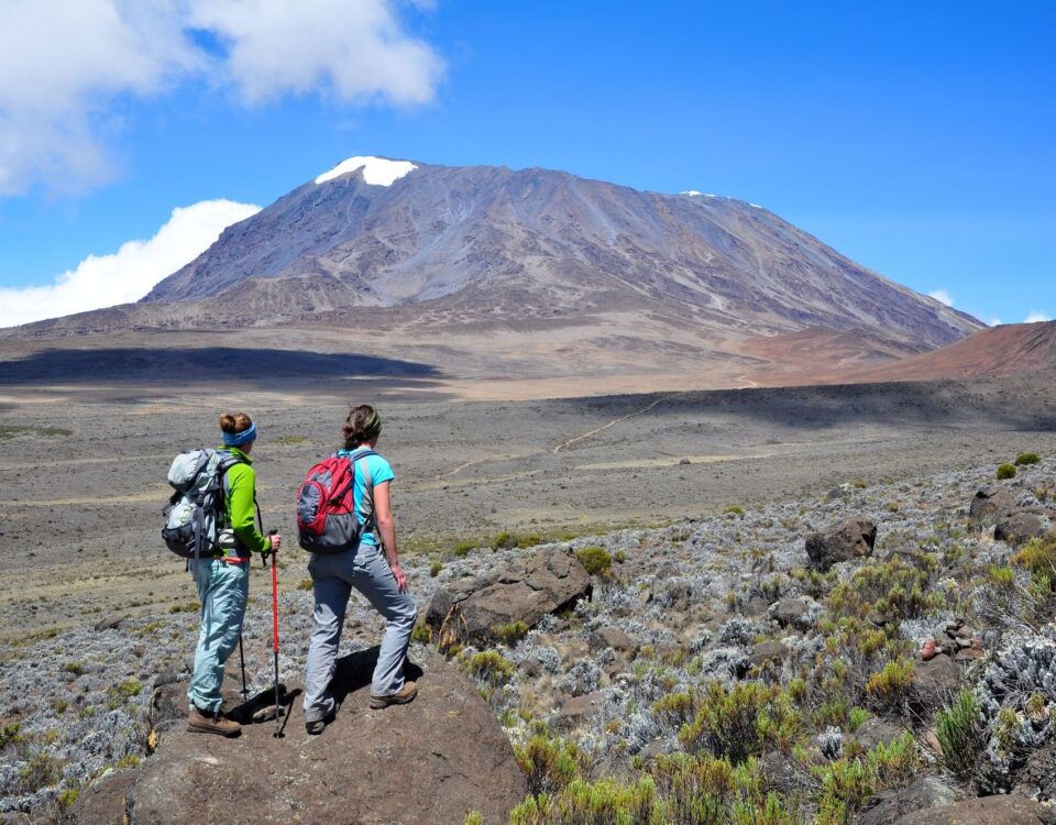 Mount Kenya National Park