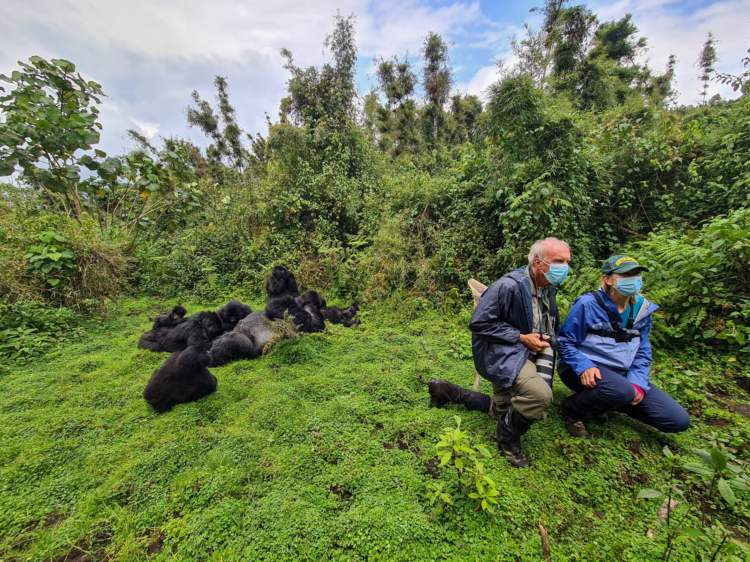Serengeti Safari & Gorilla Trekking