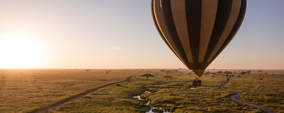Safari experiences in East Africa