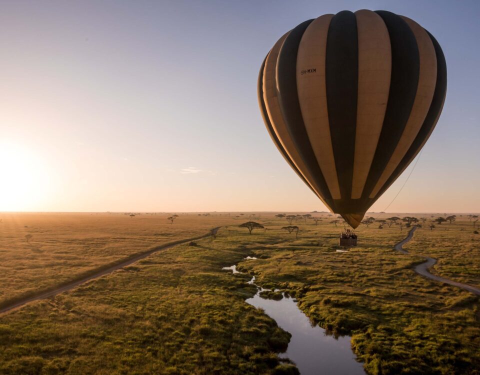 Safari experiences in East Africa