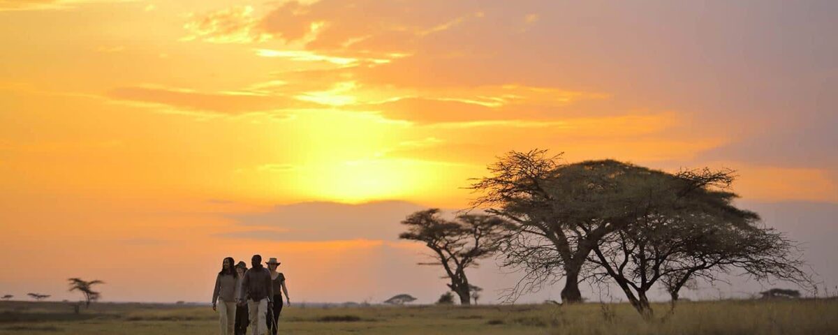 night safari in Kenya