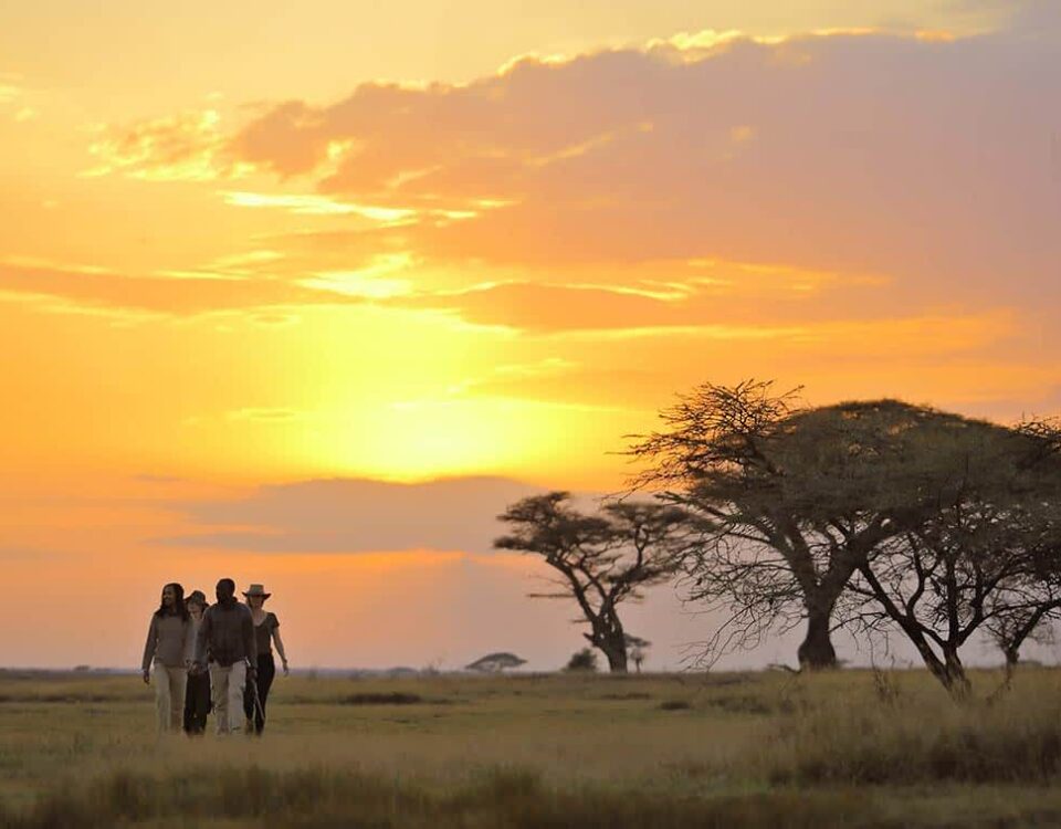 night safari in Kenya