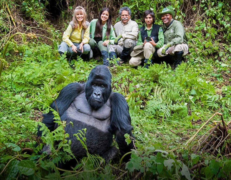 Nyungwe Rainforest Packing List