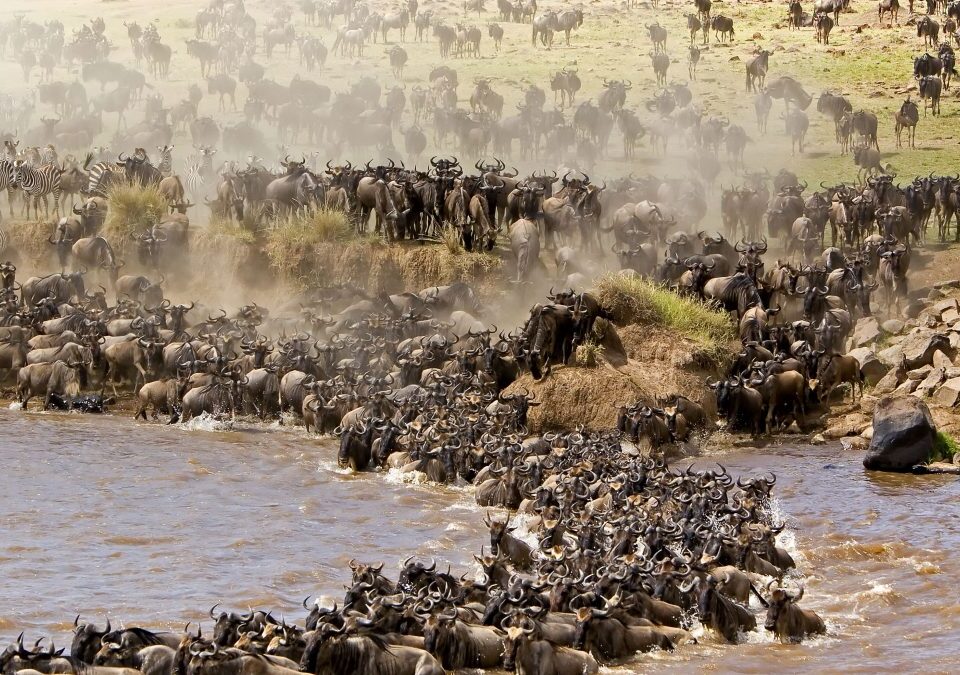 2026 Great Migration Calendar
