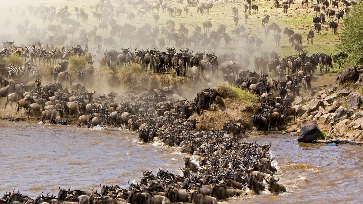Top Travel and Holiday Destinations in East Africa