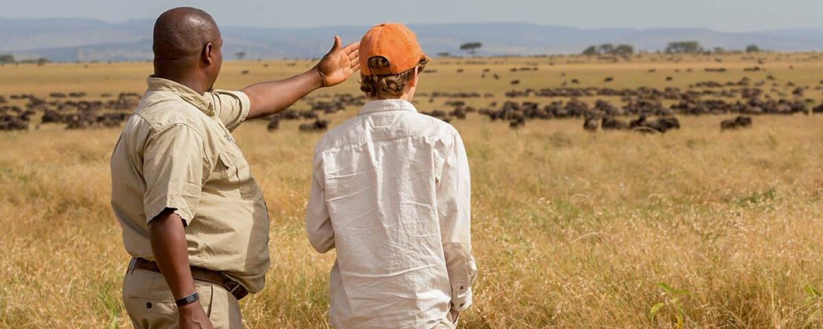 wellness safari