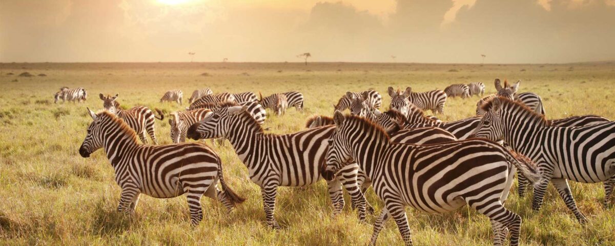 Lake Mburo National Park