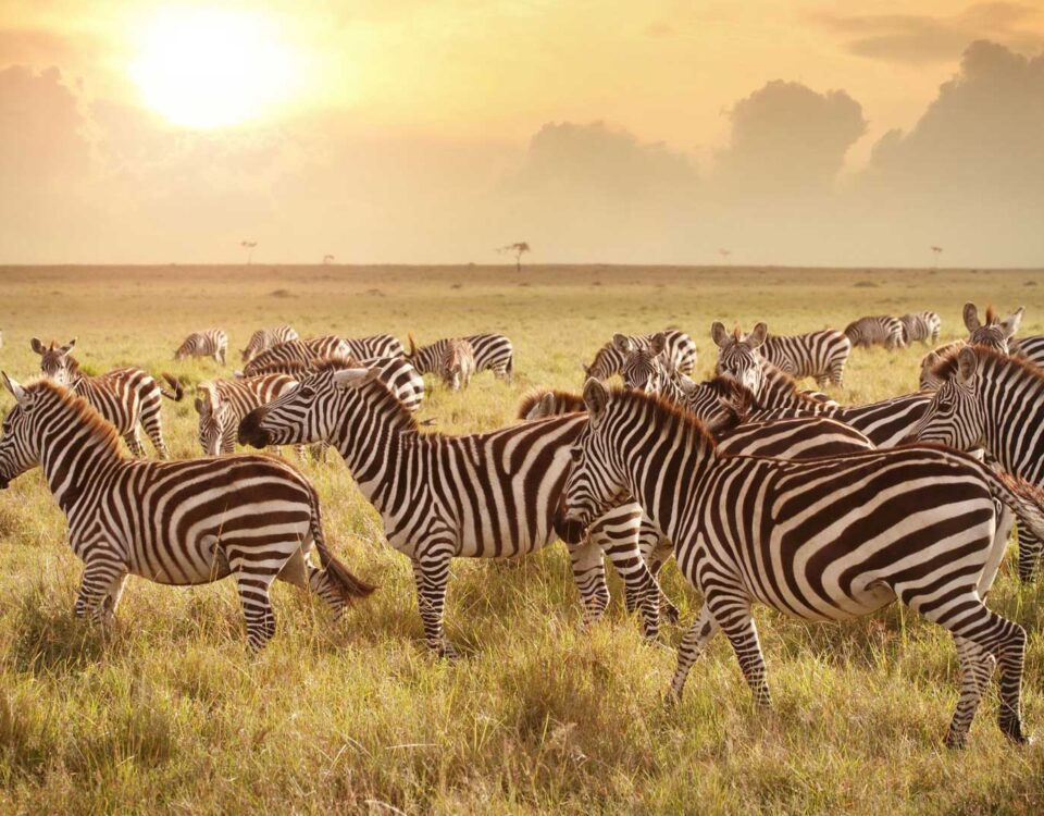 Lake Mburo National Park