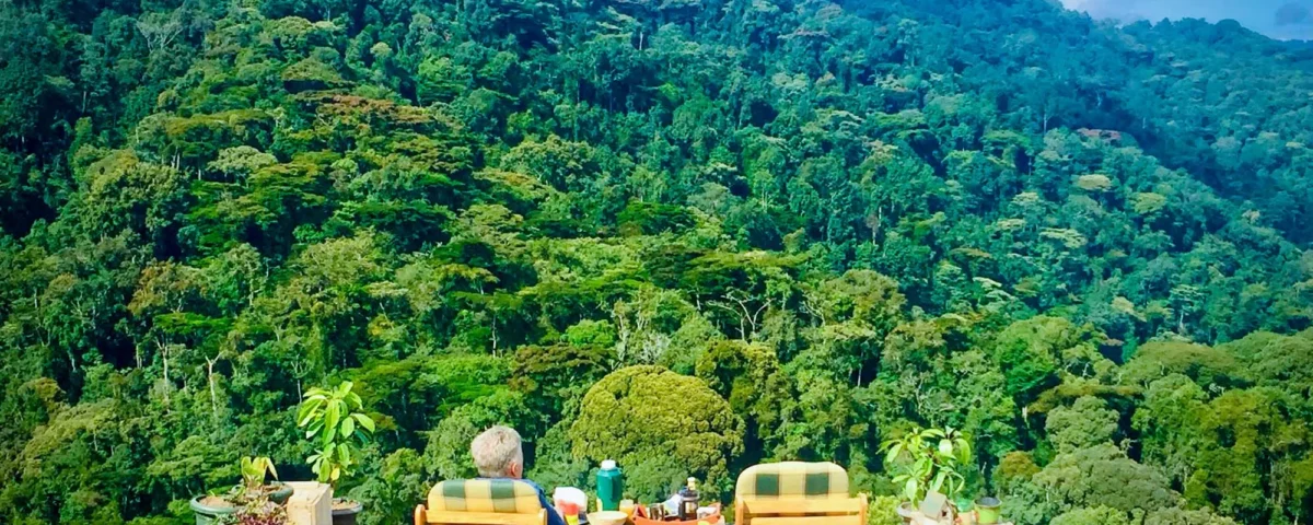 Luxury Meets the Wild: The New Eco-Lodge Era