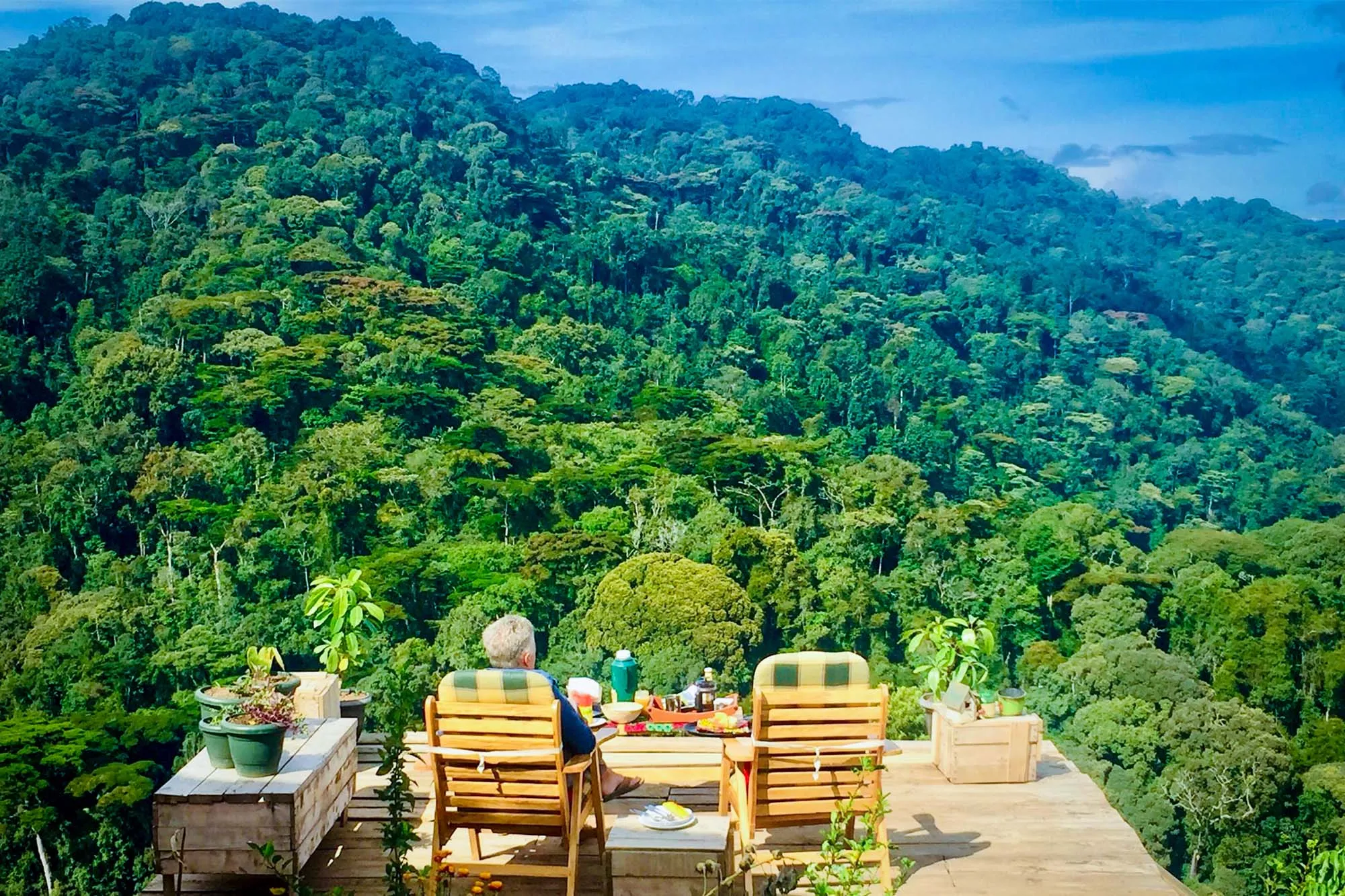 Safari & Wellness Retreats
