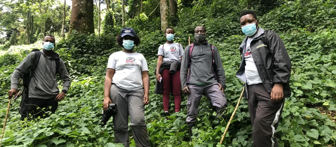 Exploring the Canopy walk at Nyungwe Forest National Park
