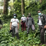 Exploring the Canopy walk at Nyungwe Forest National Park