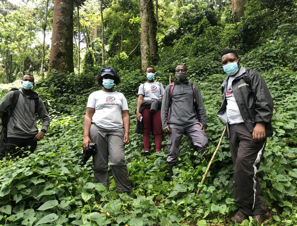 Exploring the Canopy walk at Nyungwe Forest National Park
