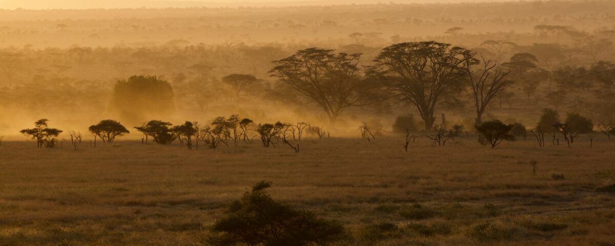 What Tanzania is best known for
