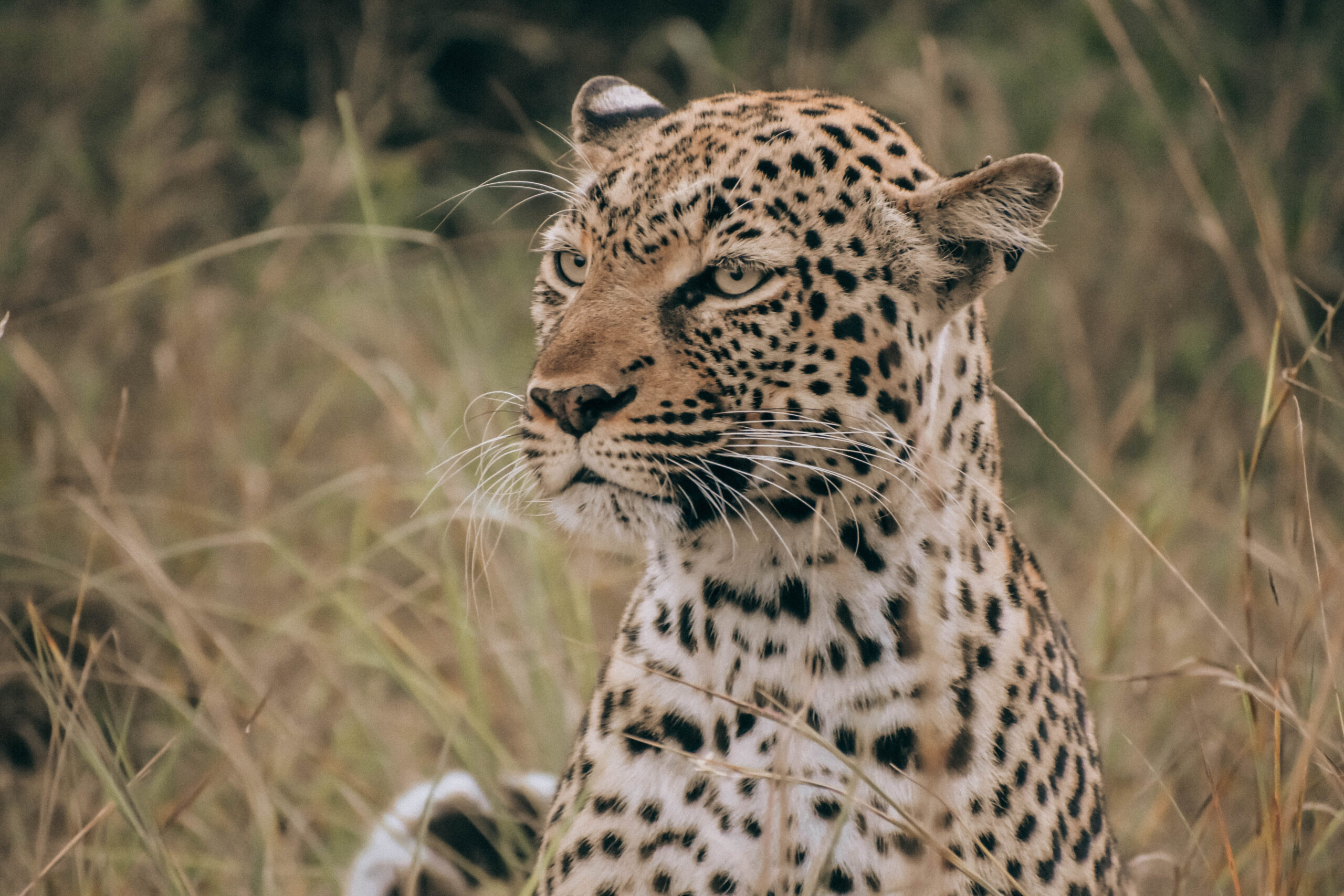 Adventures in East Africa