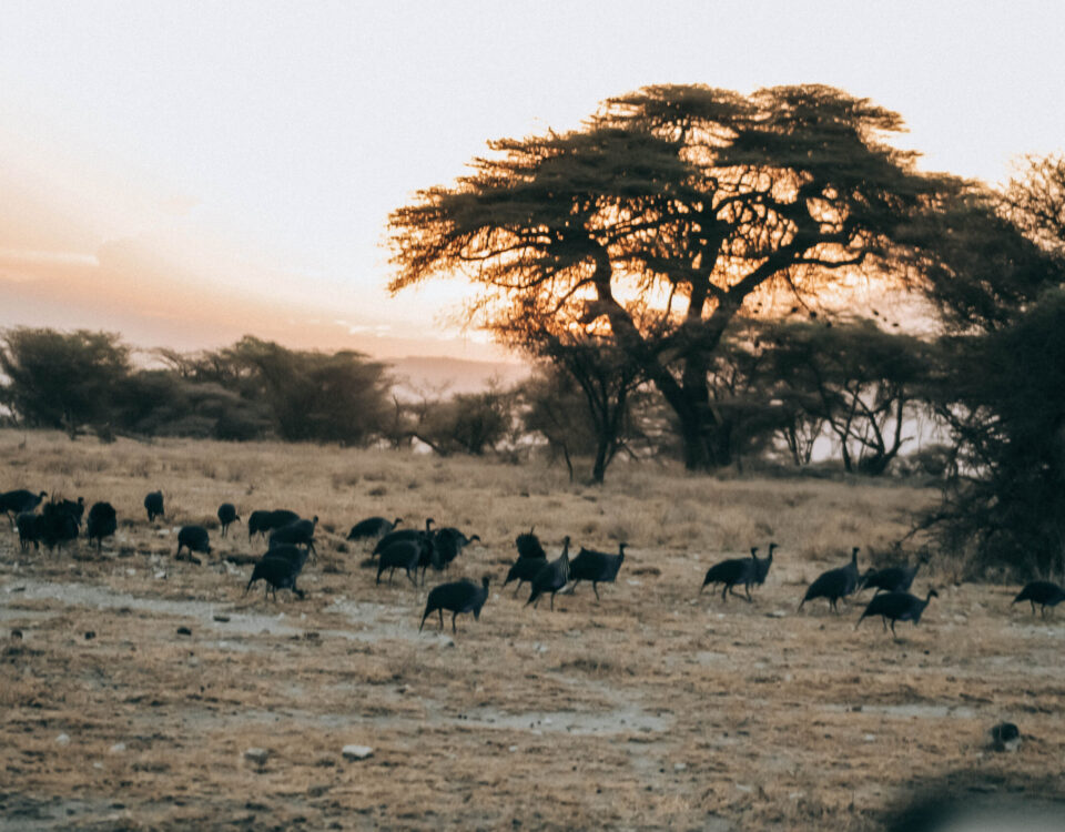 Traveling to Conflict-Affected Areas
