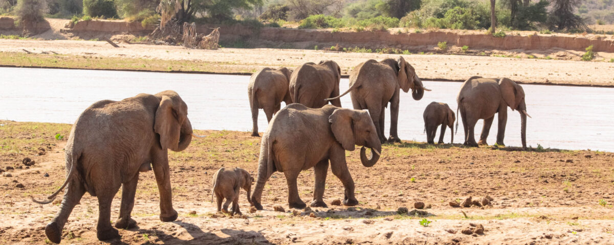 Mount Elgon National Park