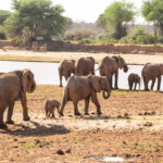 Mount Elgon National Park