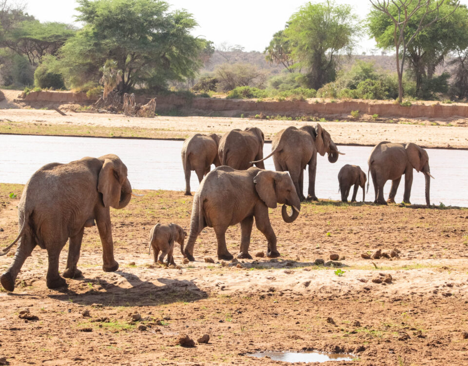 Mount Elgon National Park