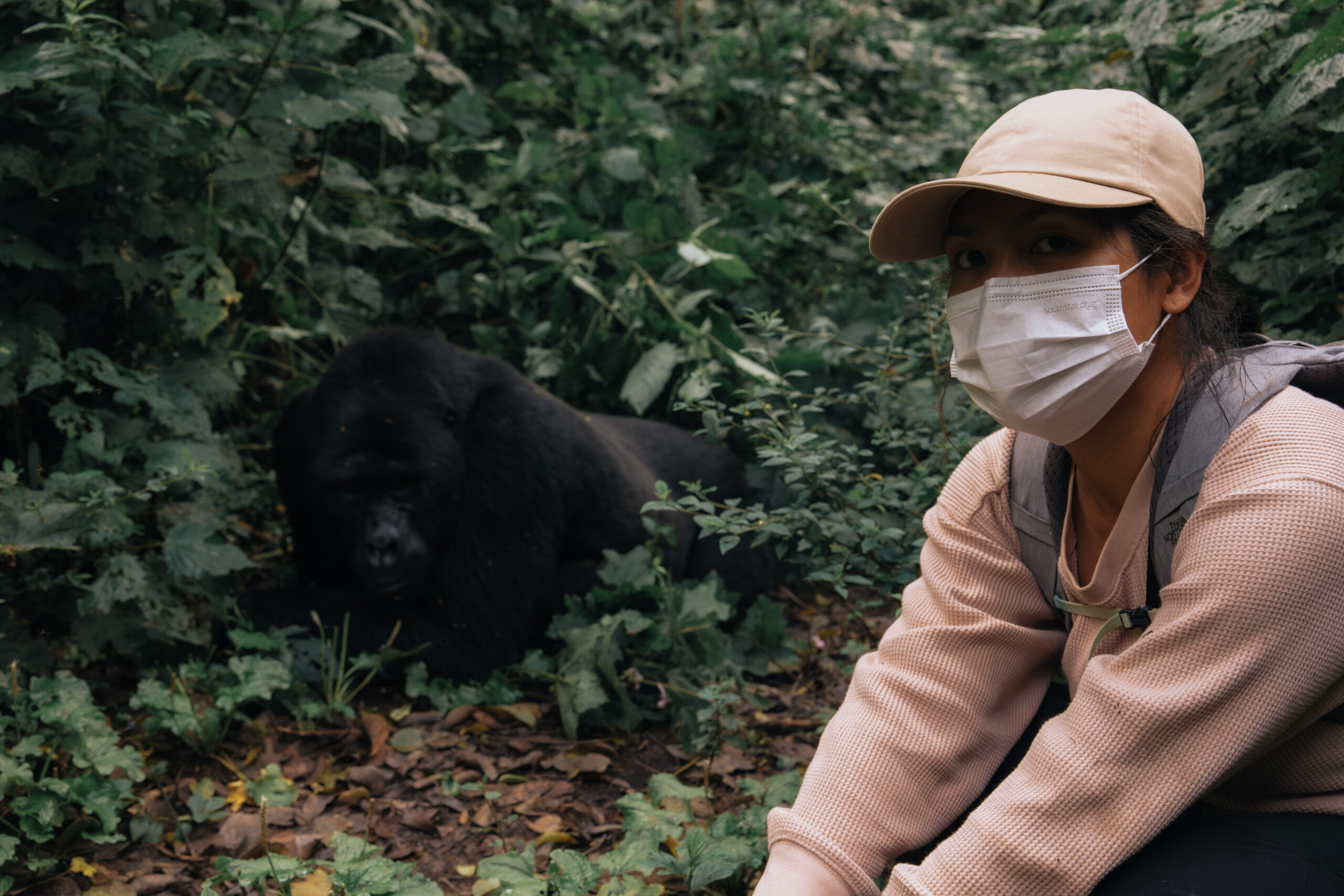 Why Do People Wear Masks When Gorilla Trekking?
