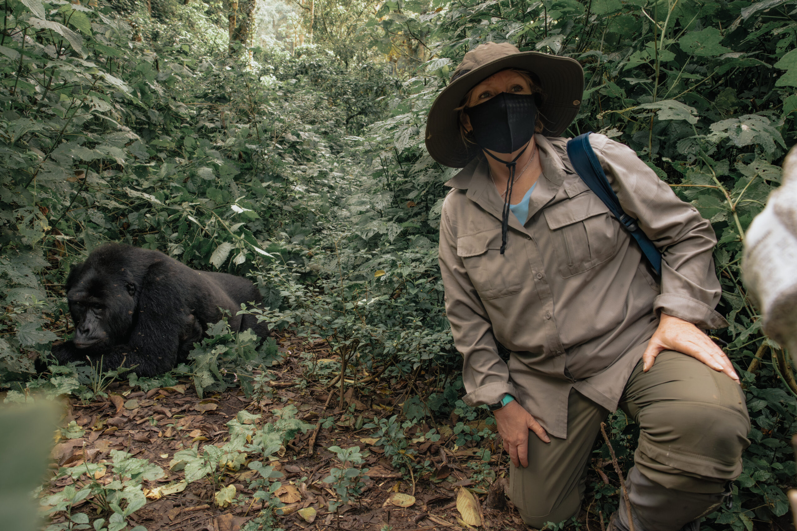 why do people wear masks when gorilla trekking