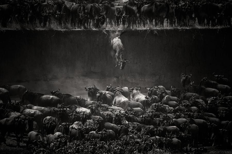 Navigating the Serengeti in August