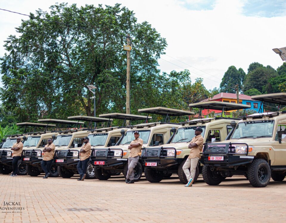 safari vehicle