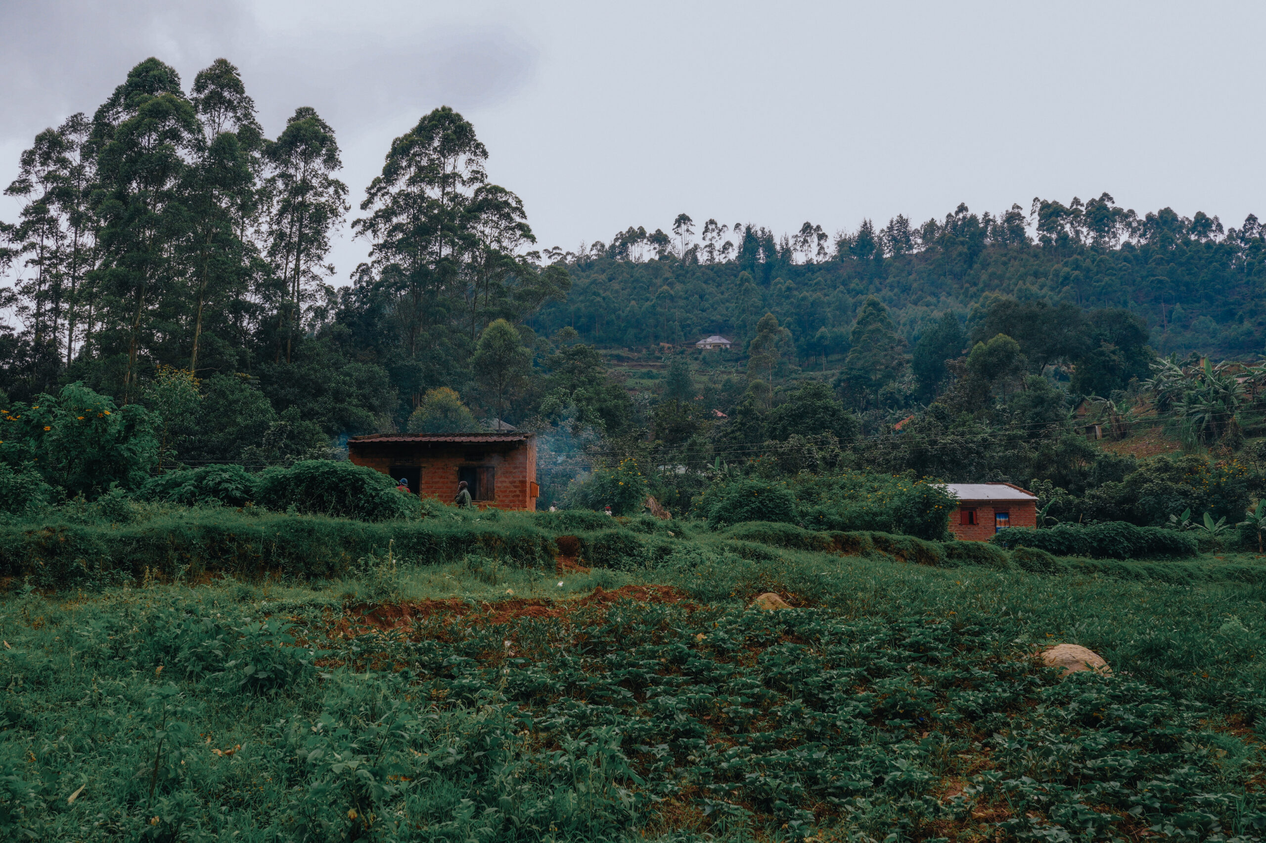 Batwa people
