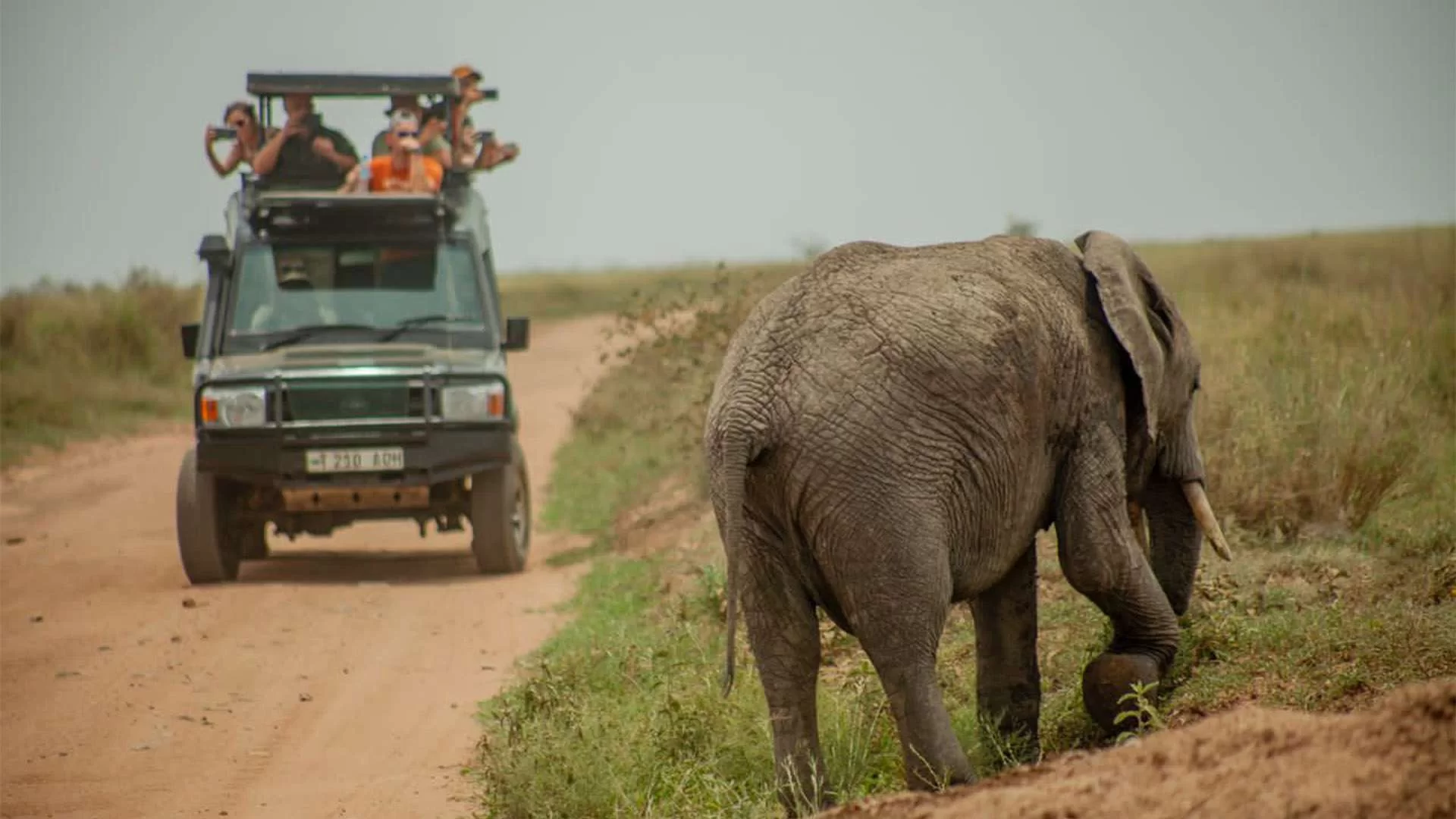 9-Day Tanzania Luxury Safari