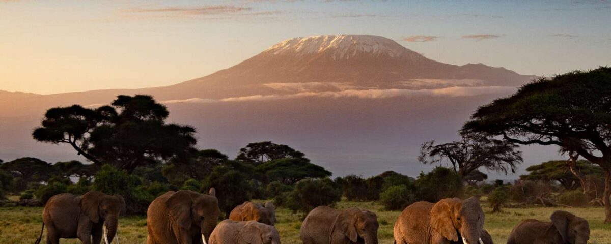 5-Day Kenya Wildlife Safari