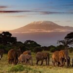 5-Day Kenya Wildlife Safari
