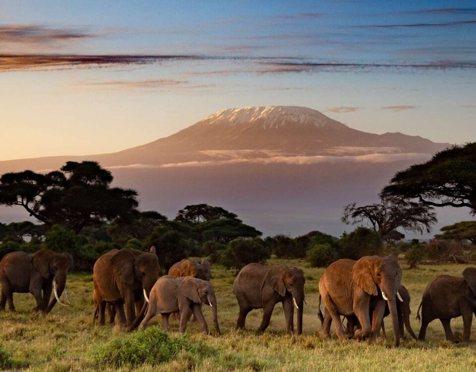5-Day Kenya Wildlife Safari