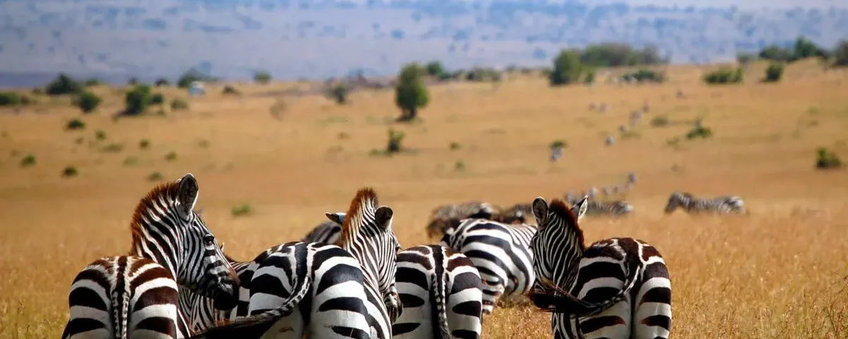 6-Day Magnificent Best of Kenya Safari