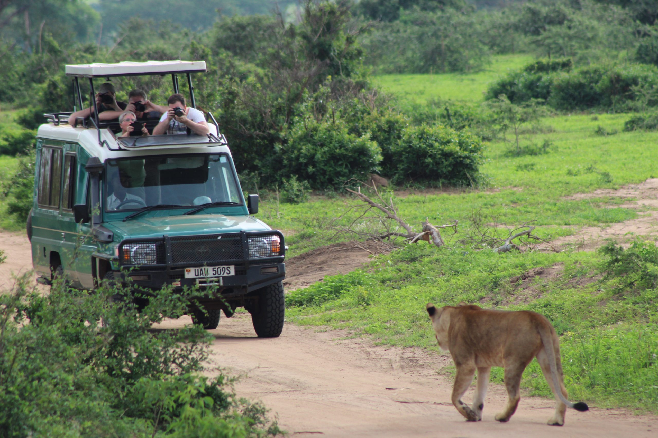 Private game drive at golden hour