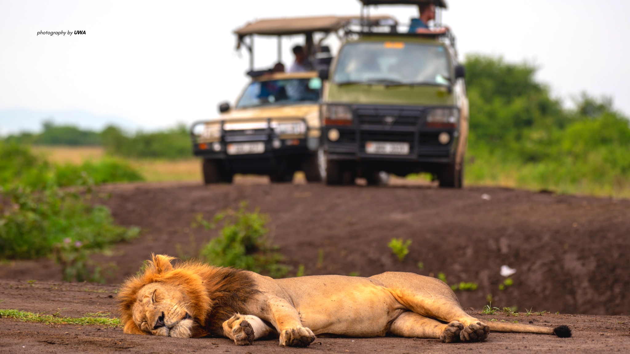 Day 2 — Visit Akagera National Park