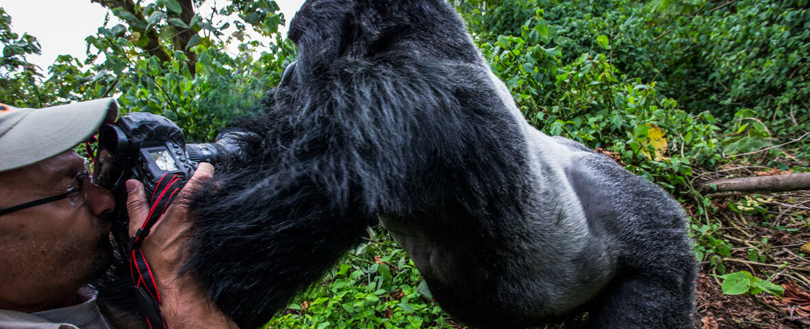 10-Day Best of Rwanda Safari Experience