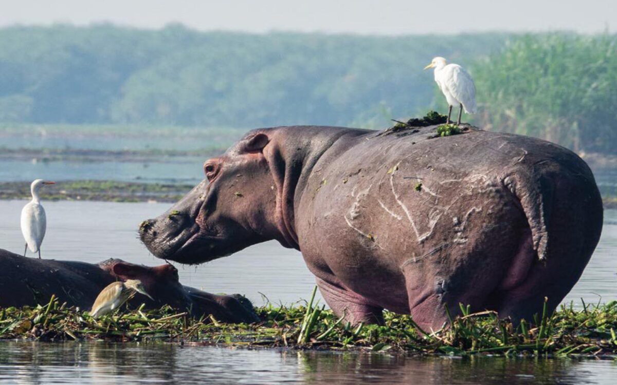 Lake Mburo National Park