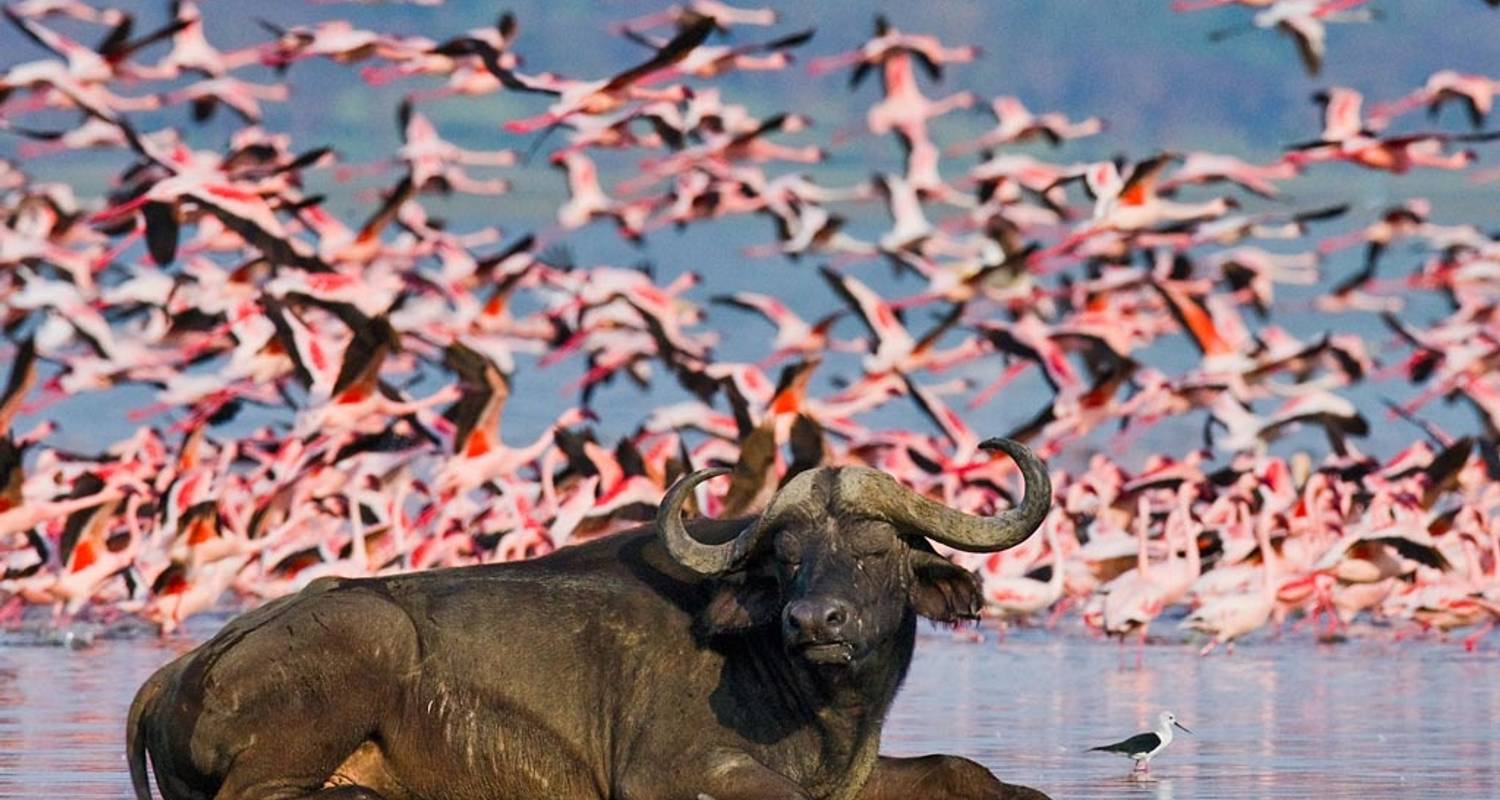 Lake Naivasha at golden hour