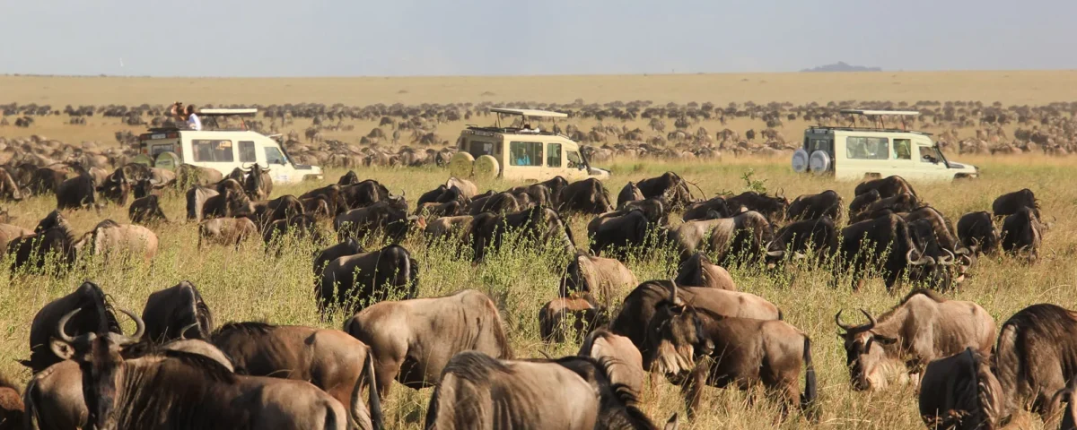 9-Day Unforgettable Kenya Game Drive Safari