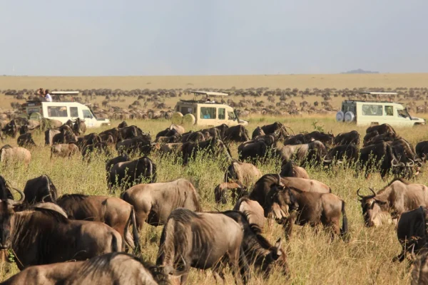 9-Day Unforgettable Kenya Game Drive Safari