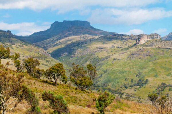 Mount Elgon National Park