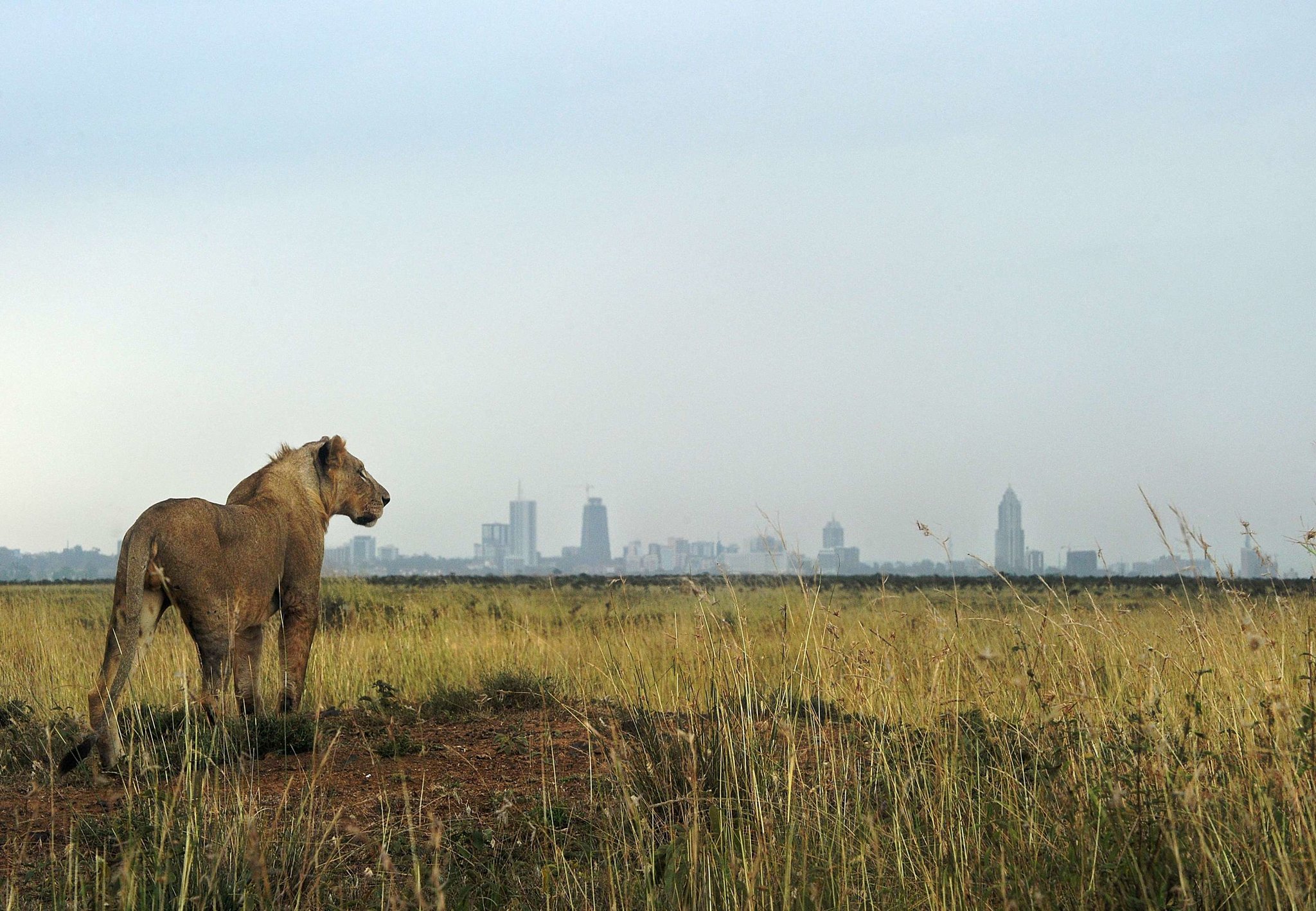 Beautiful cities in East Africa