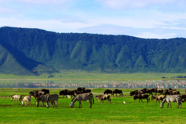 Ngorongoro Conservation Area Ngorongoro Conservation Area